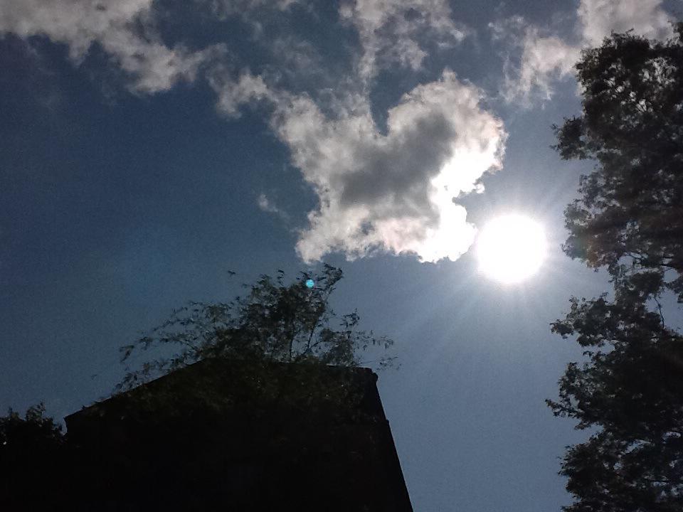 hakoneshougetsu's tweet photo. 今朝の雷すごかったですね。皆さんのお近くではいかがだったでしょうか？その後は快晴。すごい晴れ方です。夏のような太陽がサンサンと降りそそいでいます。 http://t.co/lL40Qiz4vS