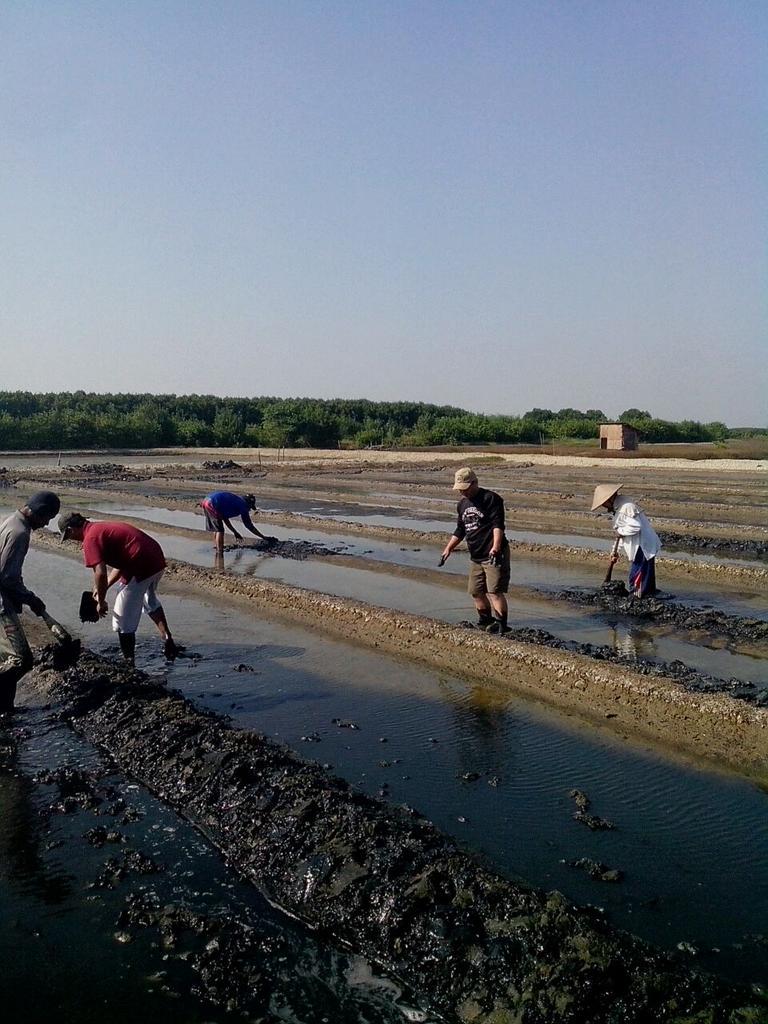 muchlisin moch tweet media