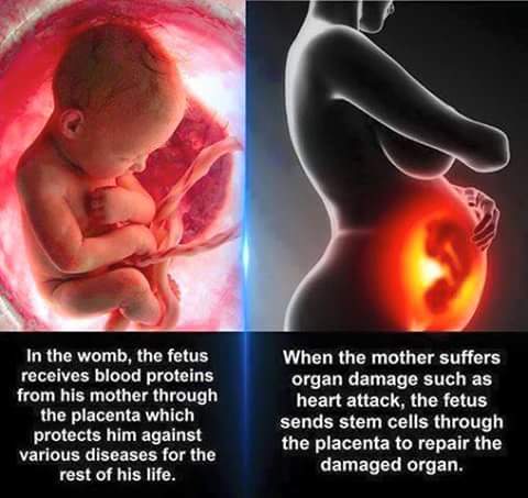 _honeyhive's tweet image. Amazing!!!