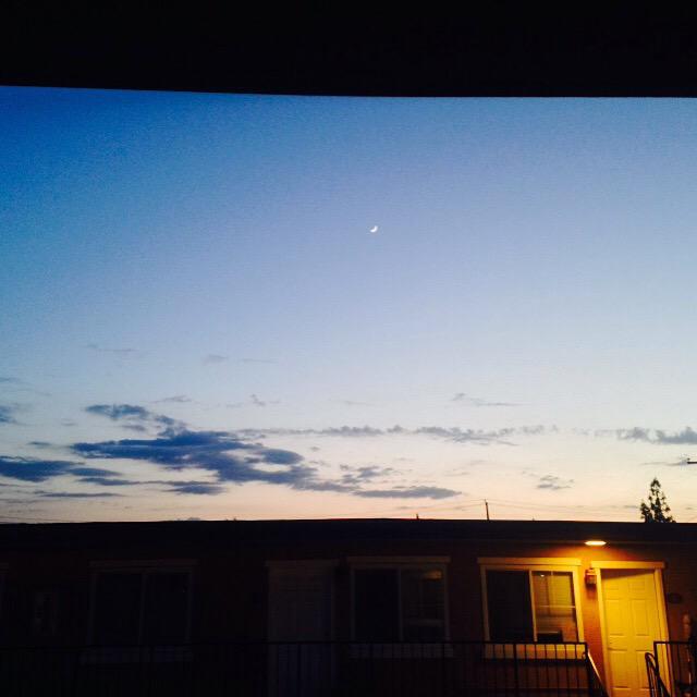 GrindOrDie_407's tweet photo. "I enjoy just looking up knowing the sky's the limit"#Viewsfromcali http://t.co/BKwoSIOmiZ