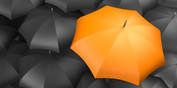misiacranes's tweet image. No matter if #toprunning or #underslung
Today we go #orange !
(umbrella #powered by @christinebitner archive)
