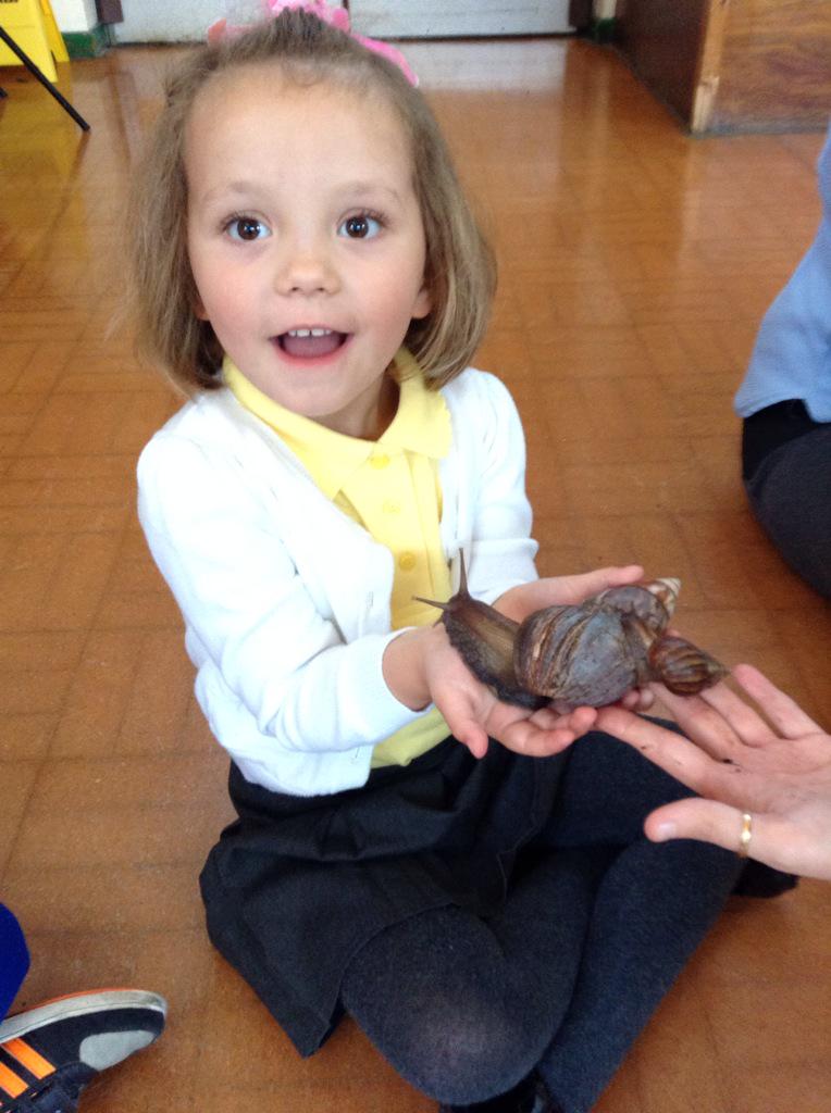 NurseryBPS's tweet photo. We like Sheldon! @ZooLabUK http://t.co/bh4dl97Zn1