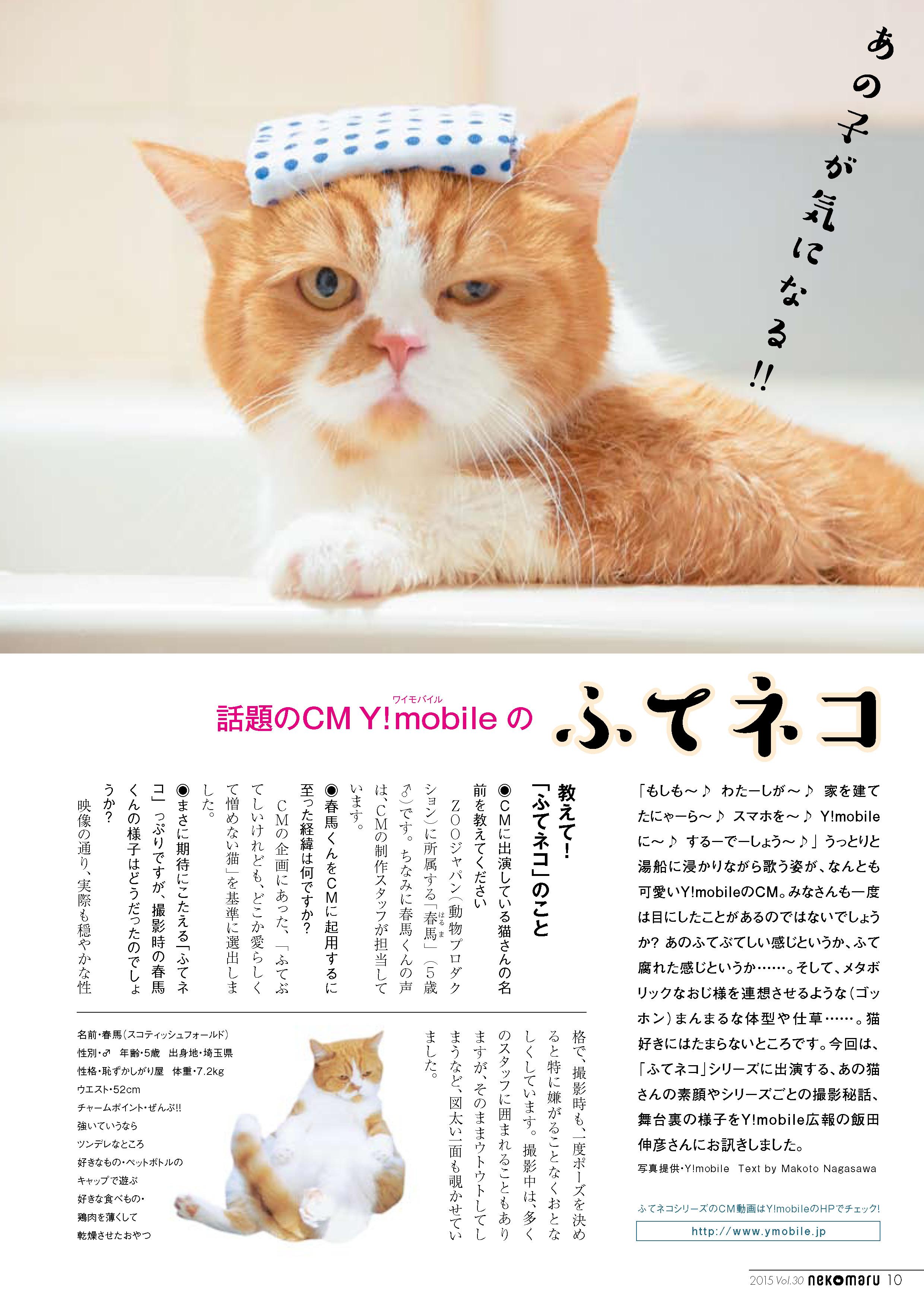 猫びより 好評発売中 ネコまる 夏秋号の特集には Y Mobileのcmで話題の ふてネコ が登場 Cmでは堂々のふてぶてしさを見せてくれていますが 実は意外な素顔が 貴重なオフショットも掲載 Http T Co Pk7rbpr09x Twitter