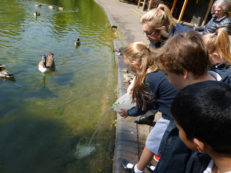 Newton's Tadpole Rehousing Project was a success. So was the lesson in food chains. More in Friday's Newton News.