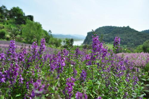 매일 읽는 한줄공감 (@slove1213) on Twitter photo 