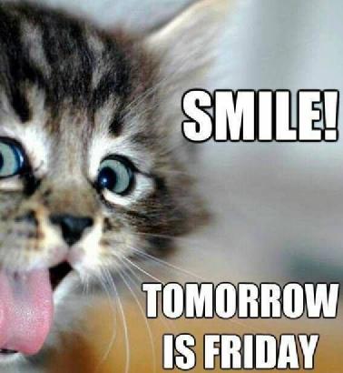 Gerelateerde afbeelding