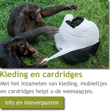 Om de weesaapjes te helpen, kunt u uw oude kleding ,cartridges en mobiele telefoons inleveren. weesaapjes.nl/wat-kunt-u-doe…