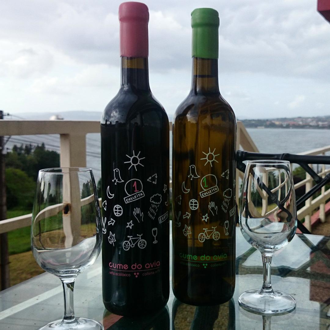 Hoy toca cata, con mucha ilusión un nuevo proyecto Cume do Avia