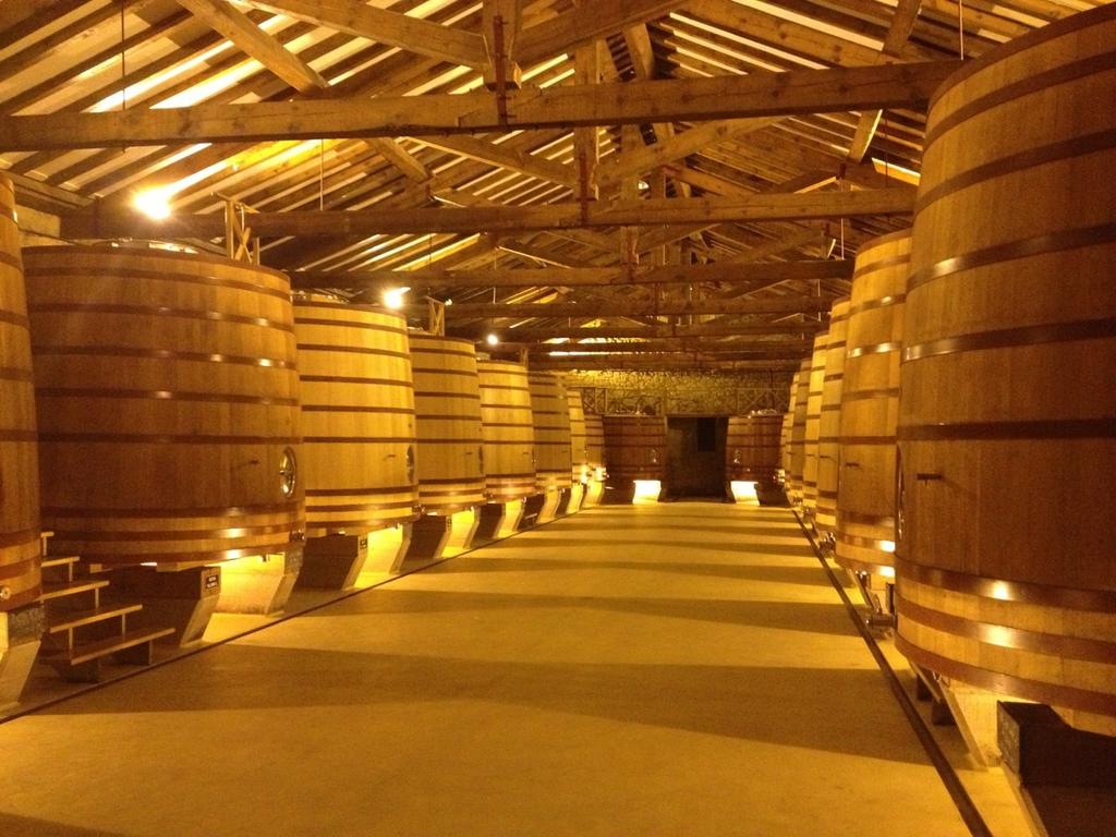 FollowMeVIP_SS's tweet photo. Visiting #LaRioja #wineries and tasting the best #wines http://t.co/ii1yoDYOul