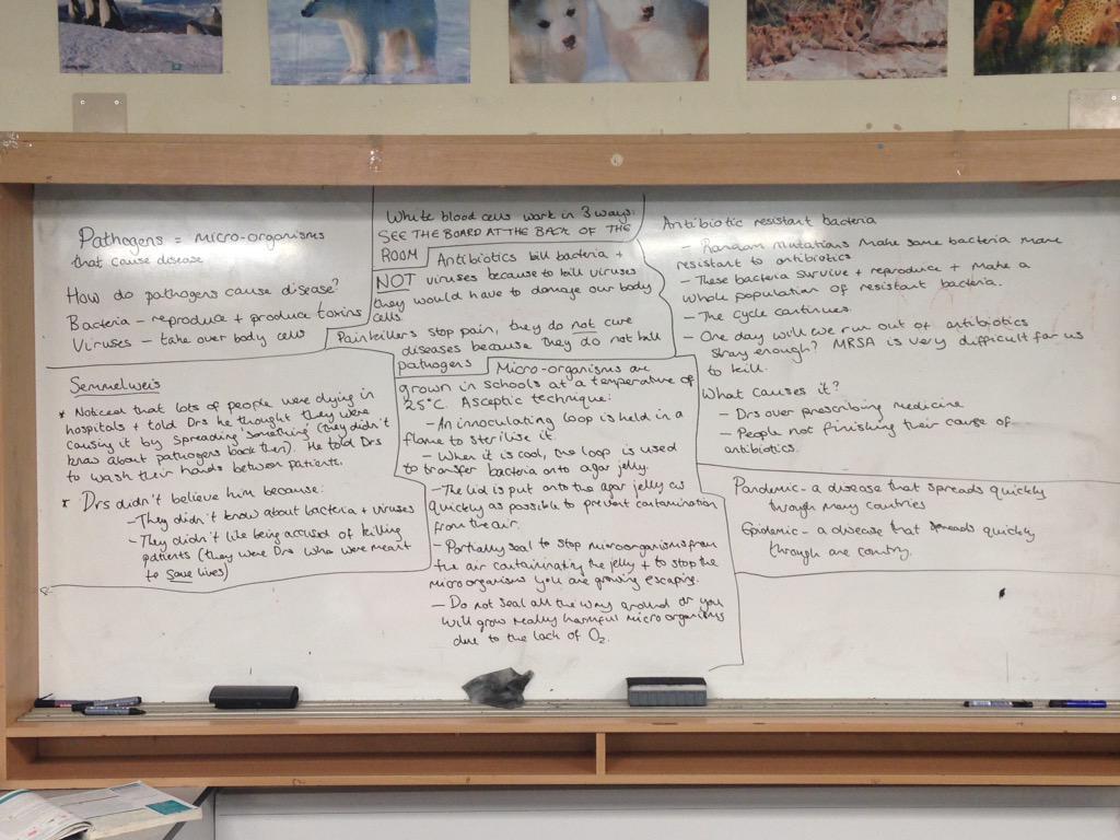 maisiets_'s tweet photo. B1 summary @BCHSScience http://t.co/XUbThAIdGe