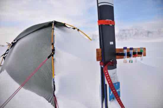 The Arctic March tweet media