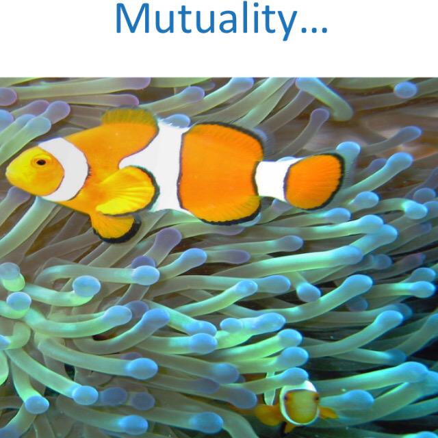 fkmunro's tweet image. Talking about #coproduction today | #KeyPrinciples #PersonCentred | #diversity #equality #mutuality #jointgoals