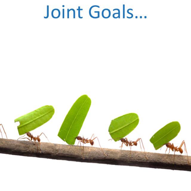 fkmunro's tweet image. Talking about #coproduction today | #KeyPrinciples #PersonCentred | #diversity #equality #mutuality #jointgoals