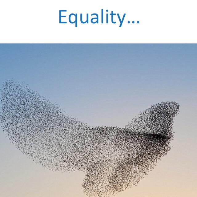 fkmunro's tweet image. Talking about #coproduction today | #KeyPrinciples #PersonCentred | #diversity #equality #mutuality #jointgoals