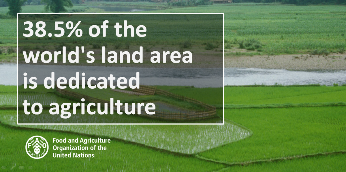 38.5% of the world's land area is dedicated to #agriculture