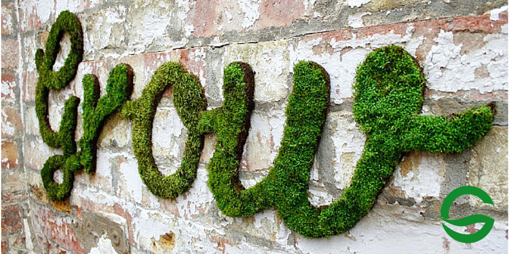 greenit_app's tweet photo. How to create beautifull grass #graffiti: http://t.co/KmJCcH1T6U
#greenit! http://t.co/Zstv4Eg4Zn