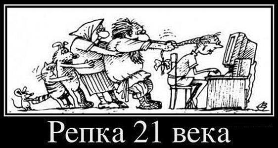 ContentStroy's tweet image. 