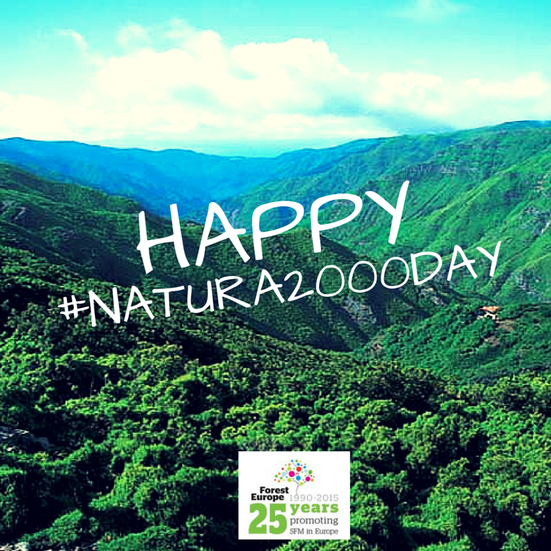 FORESTEUROPE's tweet photo. http://t.co/9WPeDntLNA