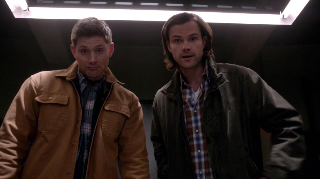 upon_a_girl's tweet photo. lets have a sec 2b THANKFUL! that were 10 SEASONS of #SPN &amp; there WILL B A NEXT1! ❤️🎉😍💗
#10Down10ToGo #10Years InLove http://t.co/Z4zm92E0nE