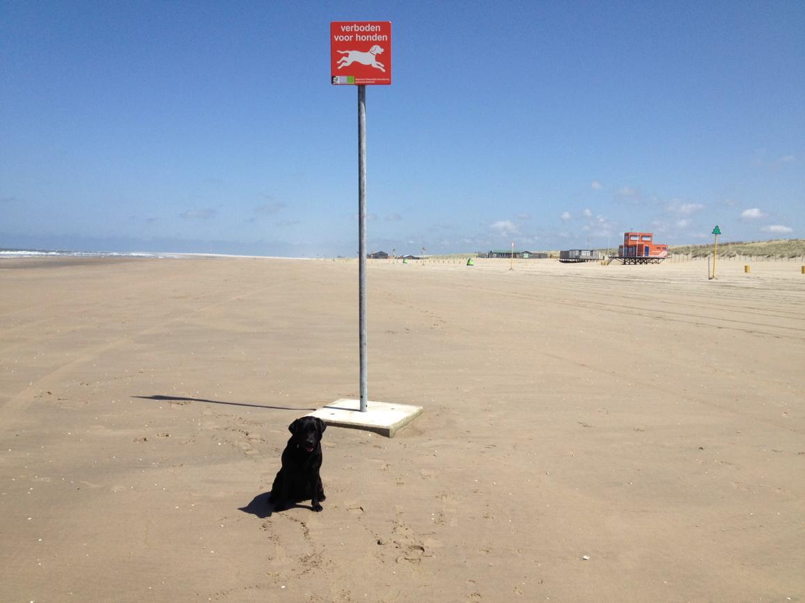 Westlanders.nu tweet media