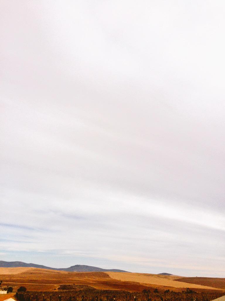 We're at <a href="/OrgdeRacWines/">Org de Rac</a> today! Blown away by its beauty!