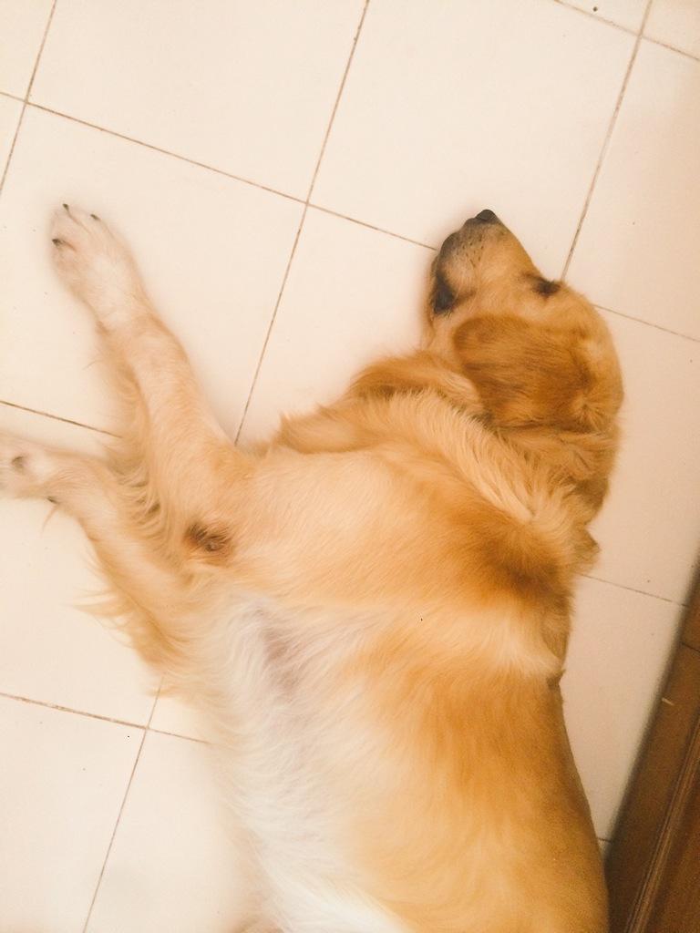 kunwar_amar16's tweet photo. Seeing u sleep in such peace makes me feel so happy, I can't think of a life with out u, the most valuable gift. http://t.co/Bj73XrWPak