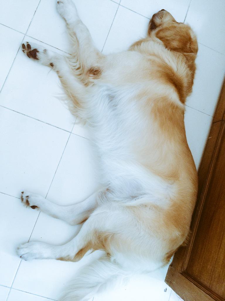 kunwar_amar16's tweet photo. Seeing u sleep in such peace makes me feel so happy, I can't think of a life with out u, the most valuable gift. http://t.co/Bj73XrWPak