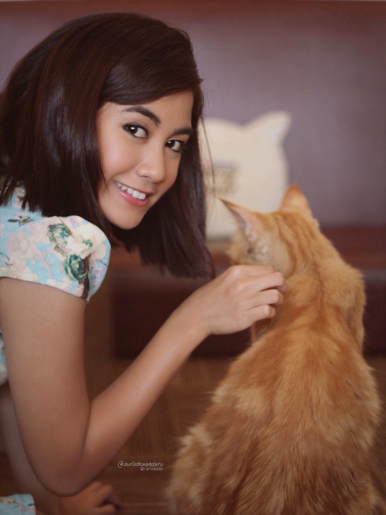 insomNISA_Indo's tweet photo. InsomNISA mau gak dielus princess Catty kayak gini? :)  @AnisaRahma_Adi #AnisaLoveCatsAndInsomnisa http://t.co/SUisHOSCbL