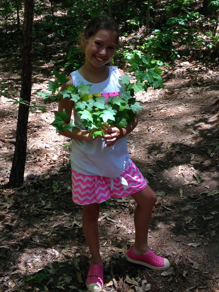 Using sweet gum trees for glue! #davis4