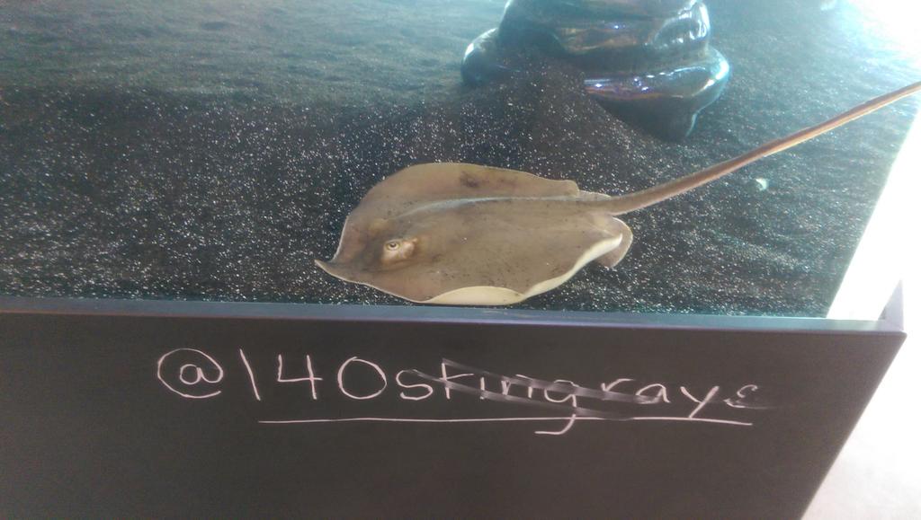 140stingrays's tweet photo. Thanks everyone who joined us for #TheMonthly last night.  It was great meeting all of you! http://t.co/5fKIs7WgVd