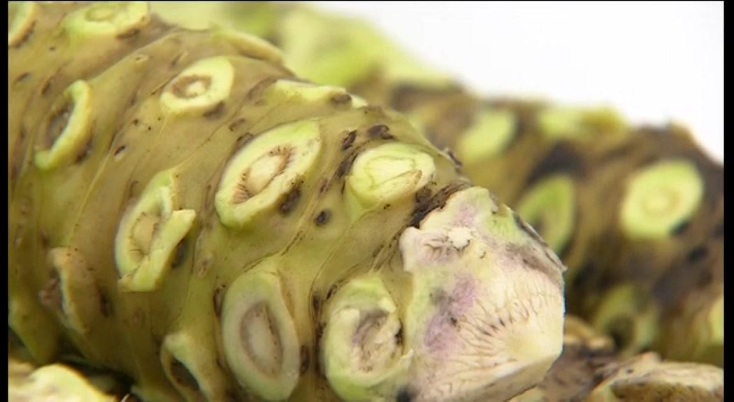 BBC Hampshire & Isle of Wight tweet media