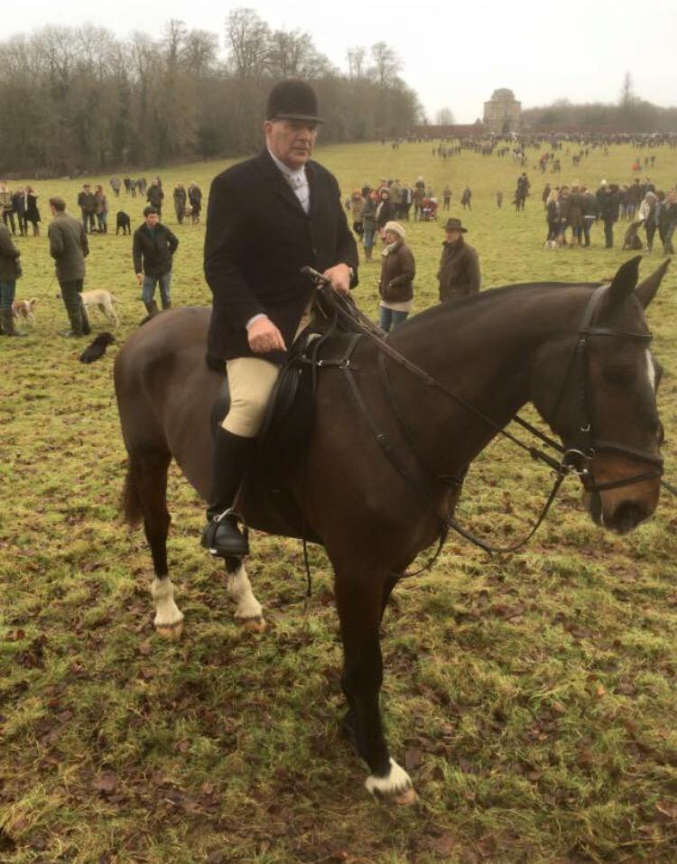 Our wonderful horse Josh has been STOLEN from #Sherston #Wiltshire. He is 17.2hh with a distinctive Roman nose.