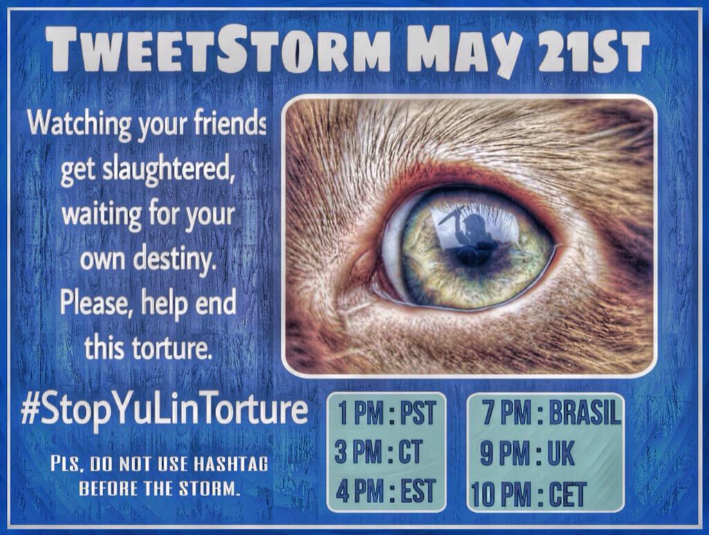 lillybalderas's tweet photo. Please join the tweet storm to #StopYulin2015 in 3 hours. We need your voice to end this cruel festival http://t.co/XZ879ODImk