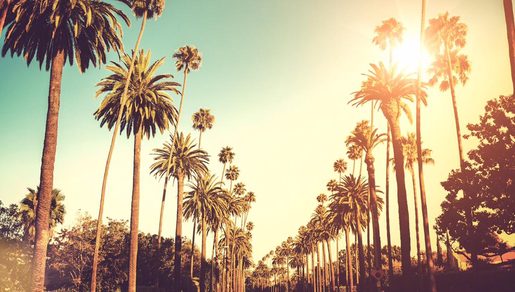 Summer is almost here! Great time to gather with local Mustangs. What events would you like to see? #CalPolyAlumniLA