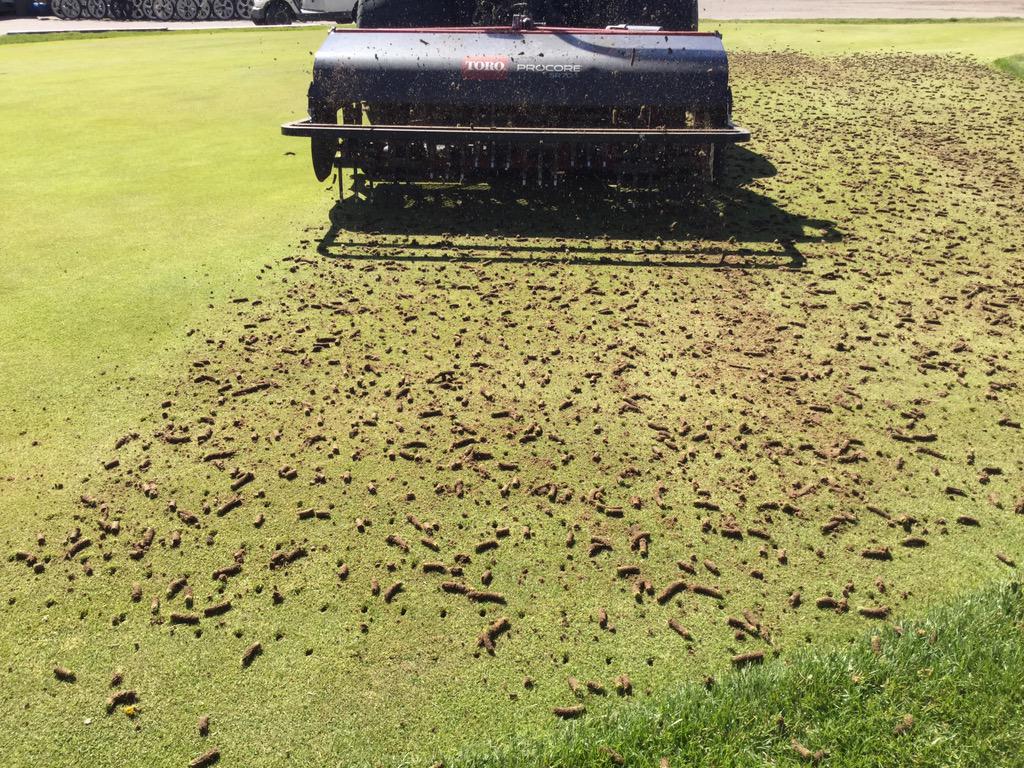 Deep tine aeration, 1/2" holes, 6.5"s deep.  Thanks to Jeff from Guardian Aeration for the great job.