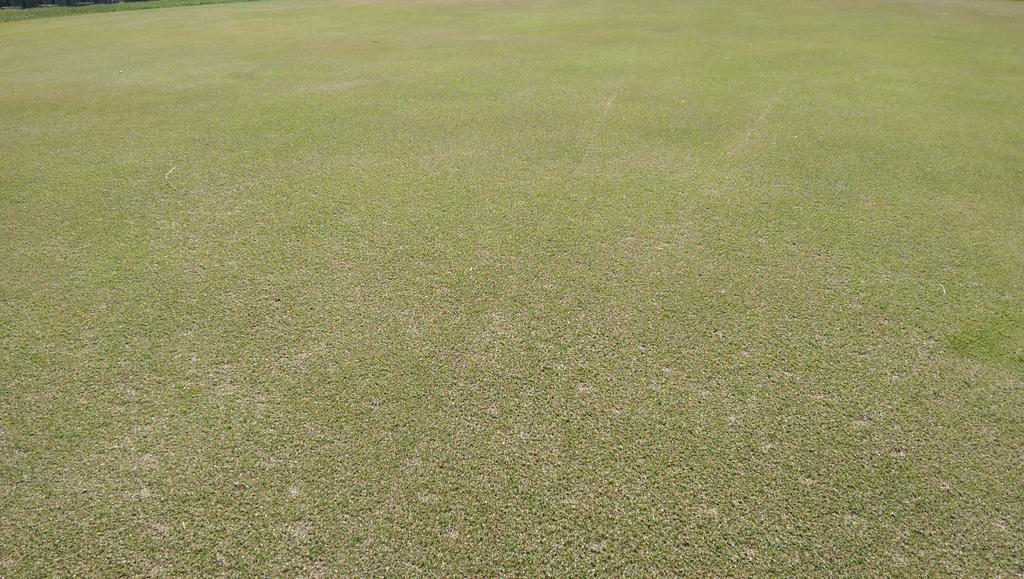 That was Tuesday, this is Thursday. #wellworththeeffort