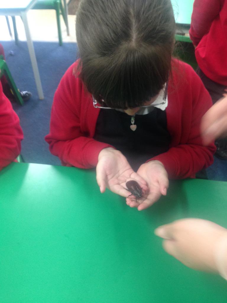 LearningLucy2L's tweet photo. @ZooLabUK creating more excitement, this time about invertebrates! http://t.co/UiMAxHRrLV