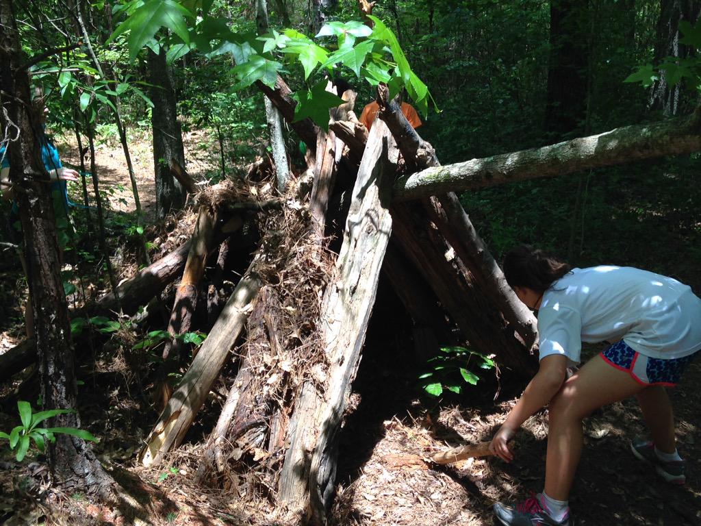 Pine straw!! #davis4