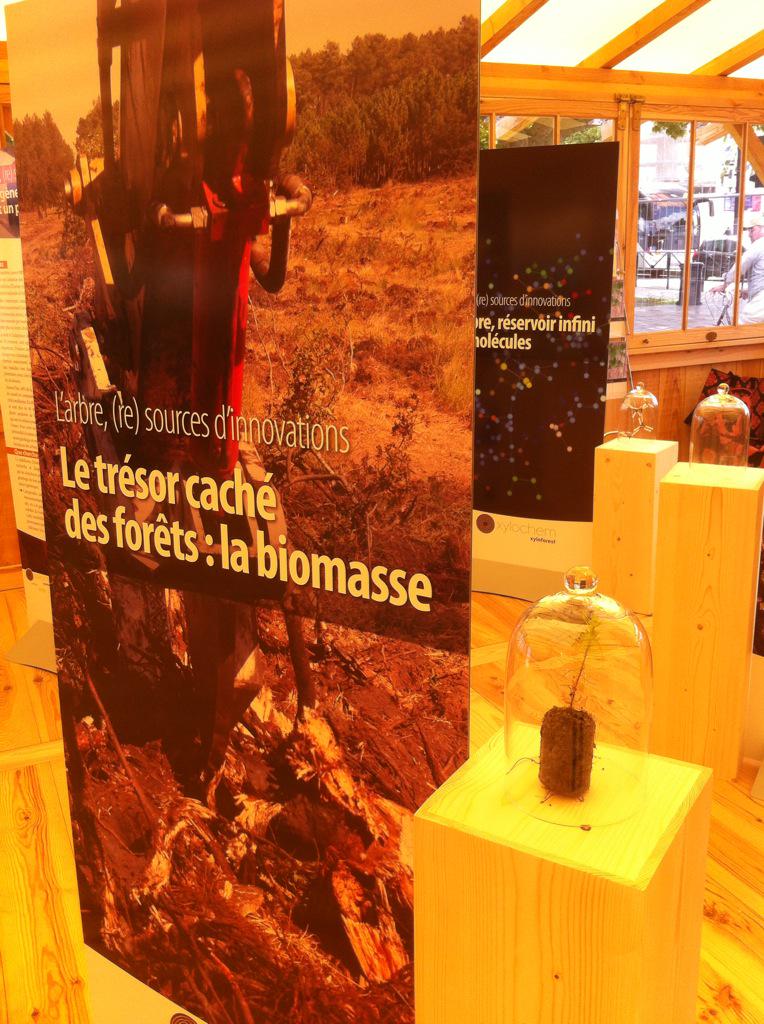INRAE_NA_BDX's tweet photo. #BFF2015 Installation expo @Xyloforest L'arbre (re)sources d'#innovation | Grande Cabane @Inra_France @CGI_PIAvenir http://t.co/yhctxIHXtN