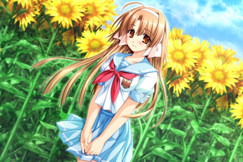 基本エロゲ ギャルゲ アニメ名言ｂｏｔ V Twitter それは やりたいことも出来ずに 生きながらえるのと どちらが幸せなのでしょうか 私が私であることが そんなにいけないことなんでしょうか By雑賀みいな 車輪の国 向日葵の少女 T Co If9hrgtsak