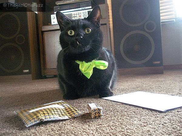 Otis Fuzz tweet media