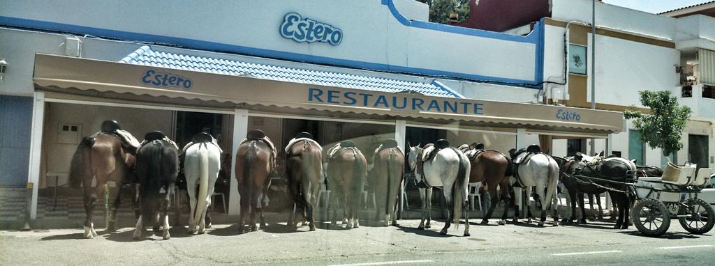 JosAntonioNez's tweet photo. Lucky Lucke poniendo multas en 3,2,1... http://t.co/e6z7ItPN8q