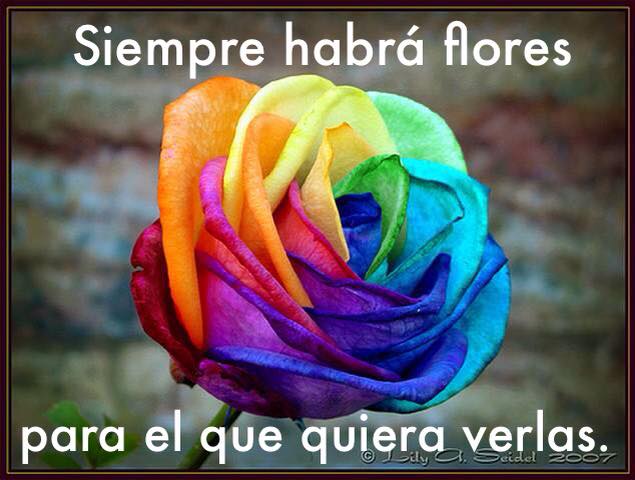 VivirCDiabetes's tweet photo. Buenos días. http://t.co/rAsdLpF7Zr