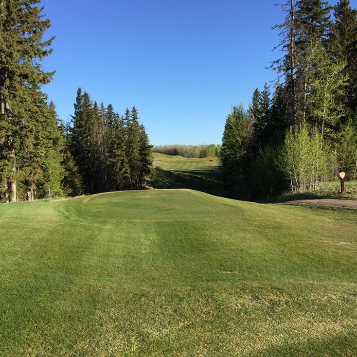 wolfcreekgolf's tweet photo. Shouldn't you be out here too? #skipworkplaygolf http://t.co/U8QakIt1Vi