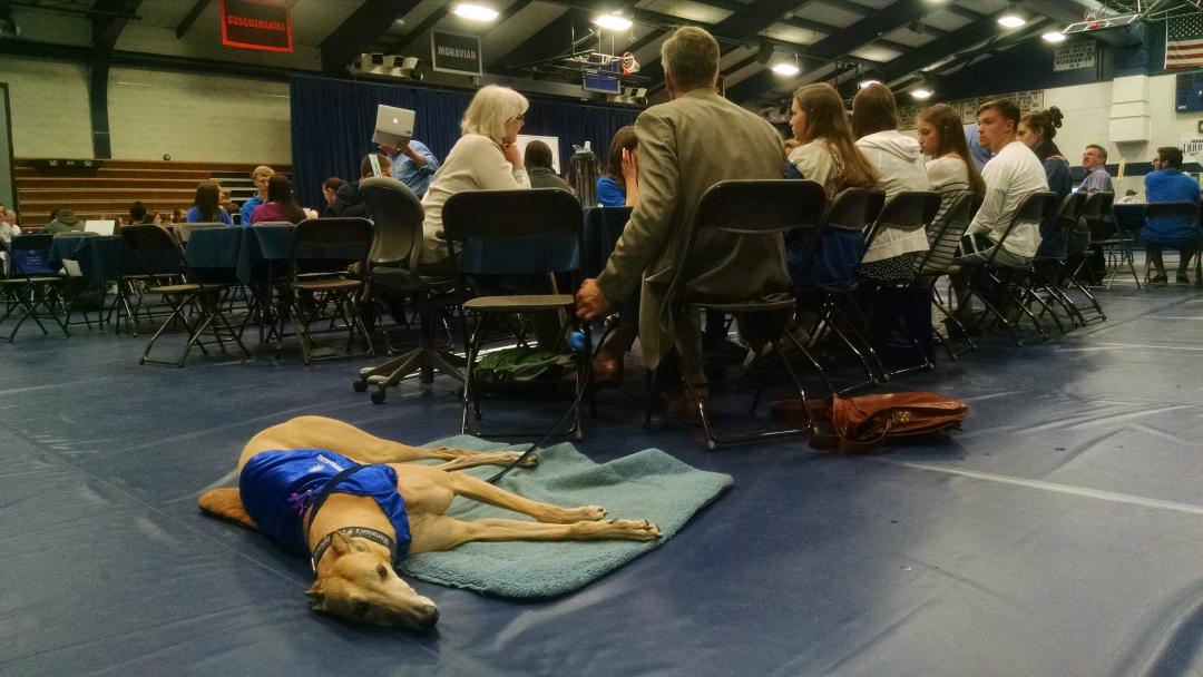 MoCo_EPF's tweet photo. Looks like Mo is enjoying registration! #mayreg #Moravian #GoHounds http://t.co/IC92gjix7d