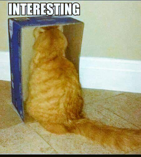 russiancircle13's tweet photo. Learning historical essays http://t.co/4zNjDvc3TF