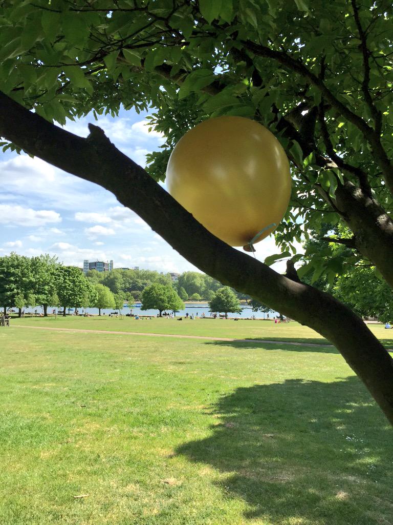 roolo_uk's tweet photo. A few more £20 bitcoin balloons waiting to be found in #HydePark#Roolo#BitcoinBalloon http://t.co/cBQzrP8Hbw