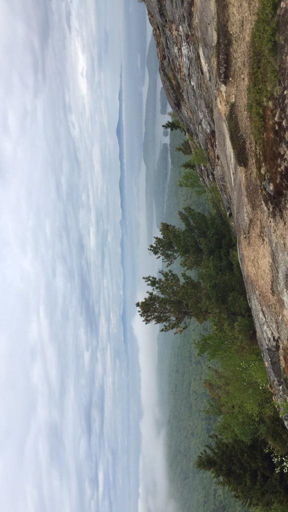 Casey and Adam tweet media