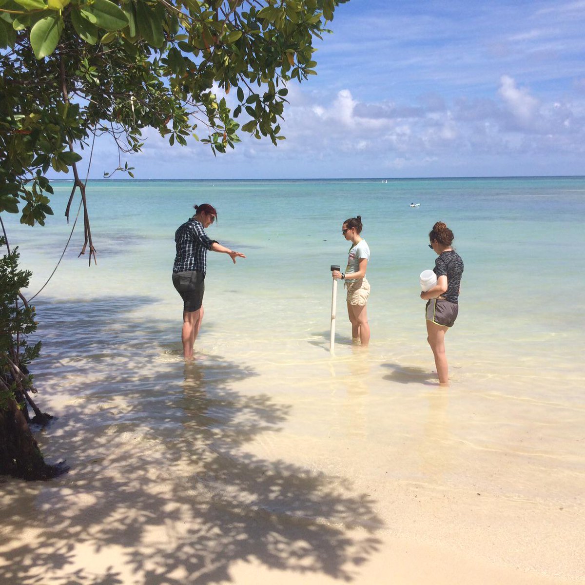 VirginiaTechCEE's tweet photo. Four @VTCEE students are in Punta Cana for a field trip in Coastal Engineering. Take a look at what they are doing! http://t.co/nMTmGgQXs9