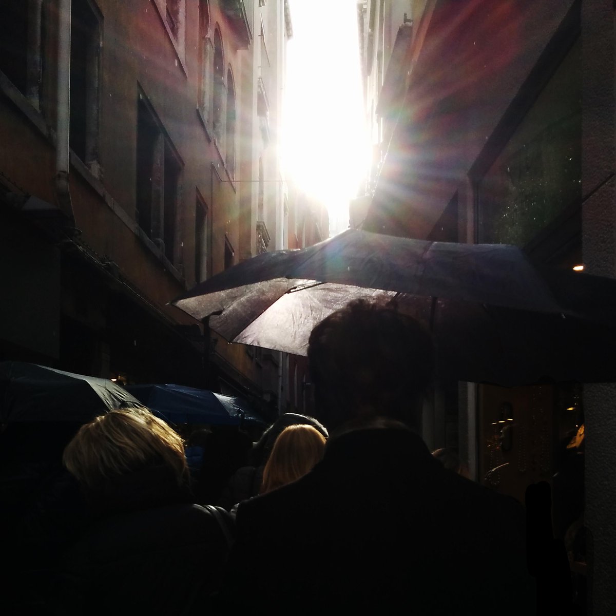 fertYlize's tweet photo. Giovedì 11 giugno alle 19 - Treviso INDIPENDENT FILM NETWORK - http://t.co/TV0Jl9co4u http://t.co/chEkOSBn6k